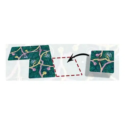 fairy trails le placement de tuiles